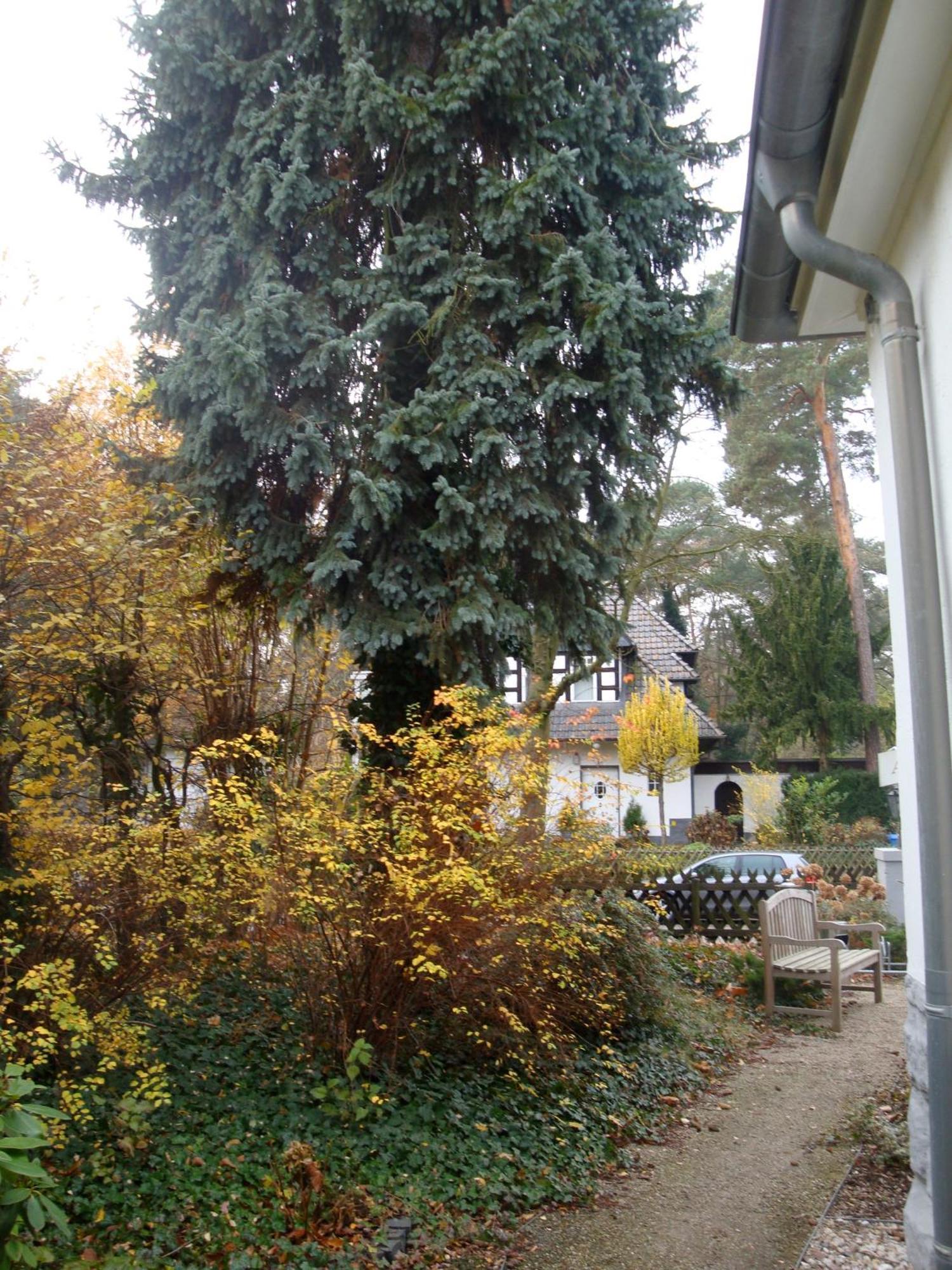 Hotel Landhaus Schlachtensee เบอร์ลิน ภายนอก รูปภาพ
