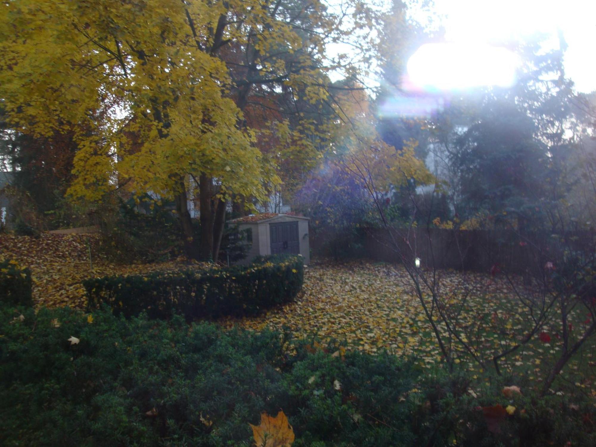 Hotel Landhaus Schlachtensee เบอร์ลิน ภายนอก รูปภาพ